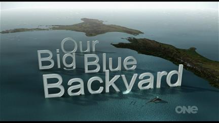 Our Big Blue Backyard poster