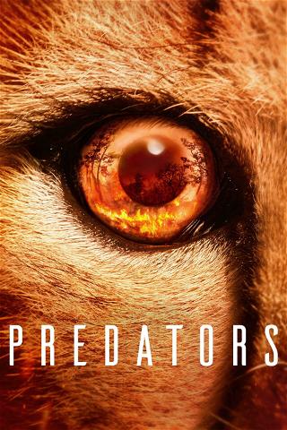 Os Grandes Predadores poster