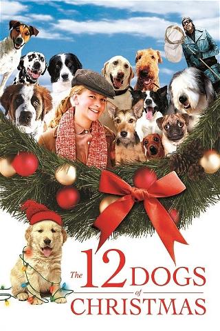 Los 12 perros de la Navidad poster