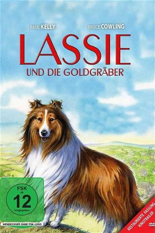 Lassie und die Goldgräber poster