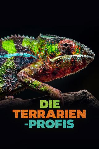 Die Terrarien-Profis poster