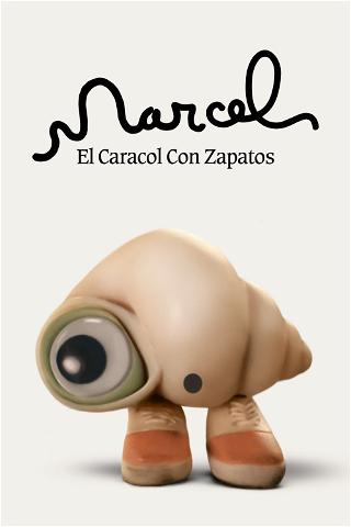 Marcel, la concha con zapatos poster