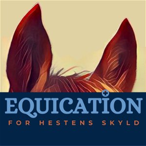 Equication - For hestens skyld poster