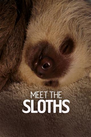 Meet The Sloths poster