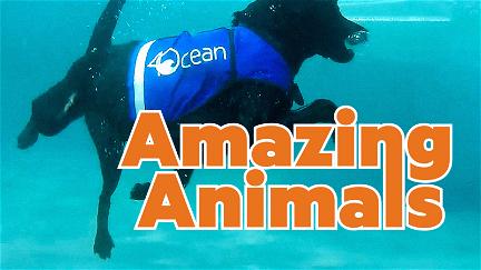 Those Amazing Animals poster