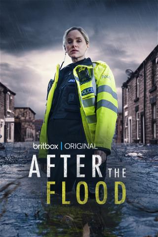 After the Flood poster