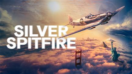 Silver Spitfire: The Longest Flight poster