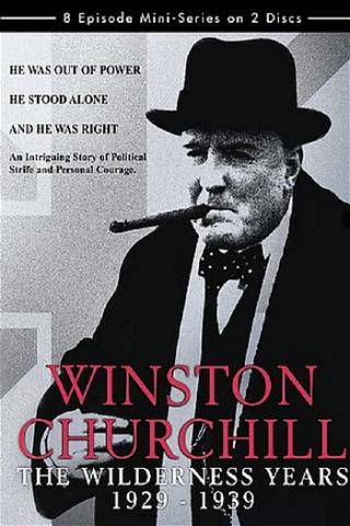 Winston Churchill: The Wilderness Years poster