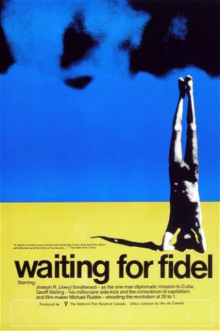 Waiting for Fidel poster