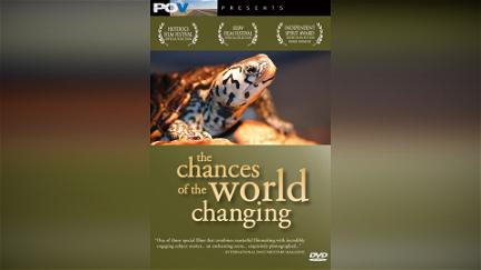 The Chances of the World Changing poster