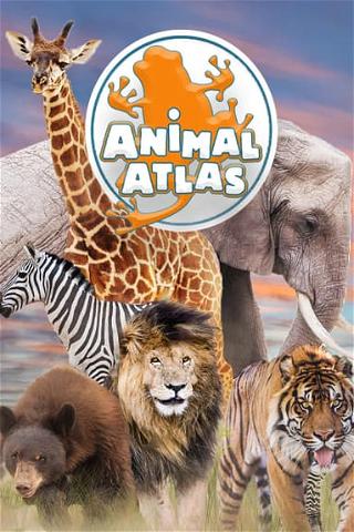 Animal Atlas poster