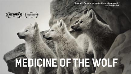 Medicine of the Wolf poster