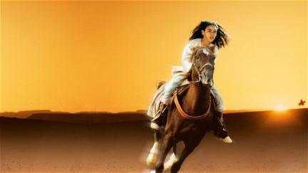 Zaïna - rytteren fra Atlasbjergene poster