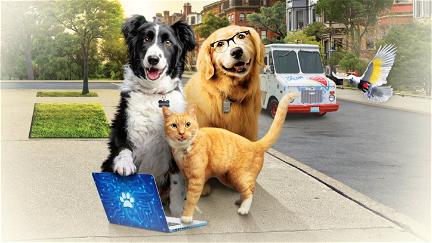Cães e Gatos 3: Patas Unidas! poster