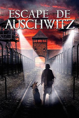 Escape De Auschwitz (Doblado) poster