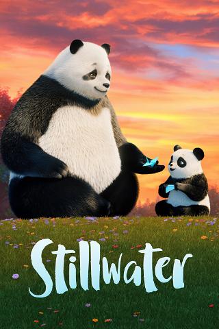 Panda Tafla poster