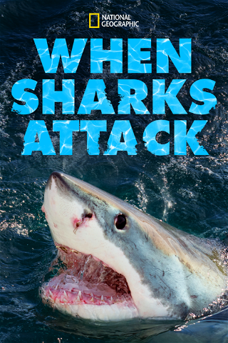 When Sharks attack... poster