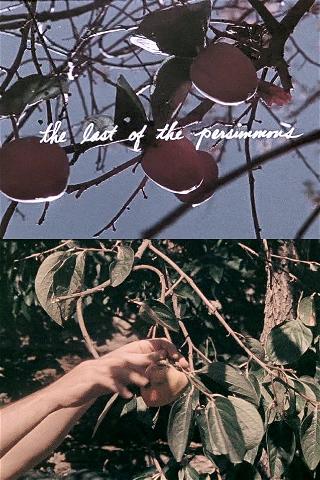 The Last of the Persimmons poster