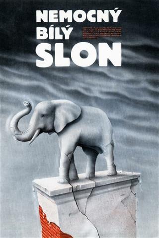 Nemocný bílý slon poster