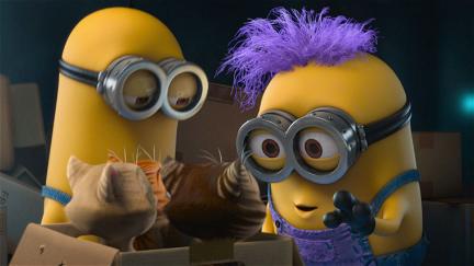 Minions: Panic in the Mailroom poster