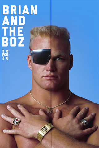 Brian and the Boz poster