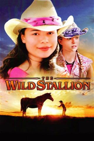 The Wild Stallion poster