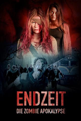 Endzeit poster