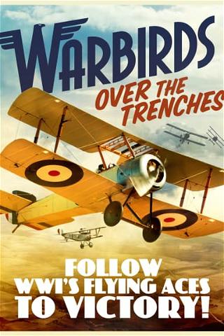 Warbirds Over the Trenches poster