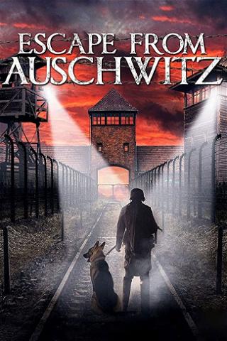 Escape from Auschwitz poster