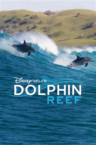 Dolphin Reef poster