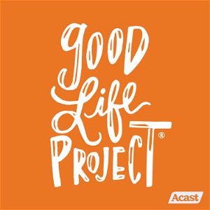 Good Life Project poster