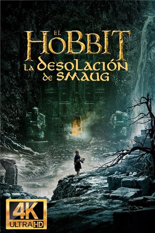 El hobbit: La desolación de Smaug poster
