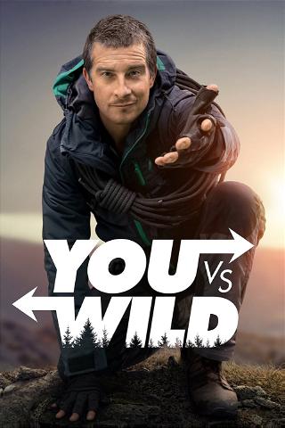You vs. Wild poster