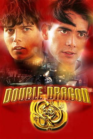 Double Dragon poster