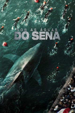 Sob as Águas do Sena poster