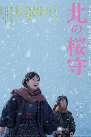 Sakura Guardian in the North poster