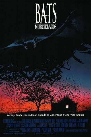Bats (Murciélagos) poster