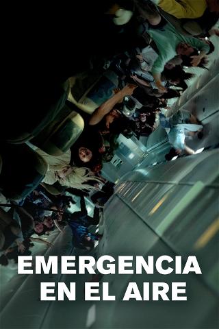 Declaración de emergencia poster