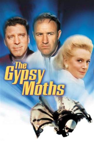 The Gypsy Moths poster
