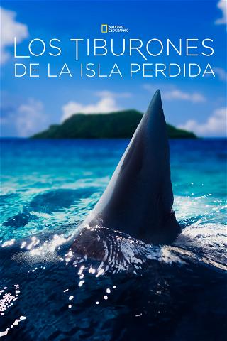 Los tiburones de las islas Pitcairn poster