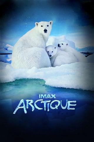 Arctique poster