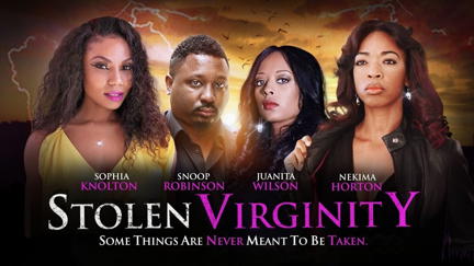 Stolen Virginity poster
