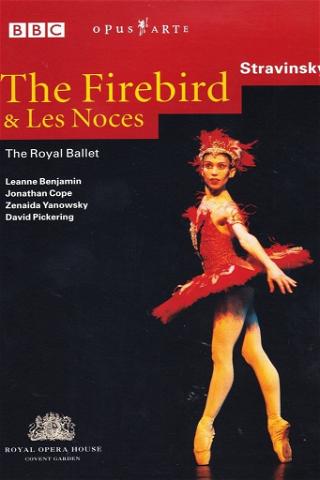 Stravinsky: The Firebird and Les Noces poster