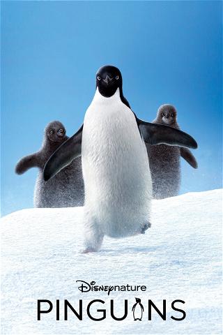 Pinguins poster