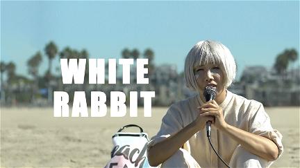 White Rabbit poster