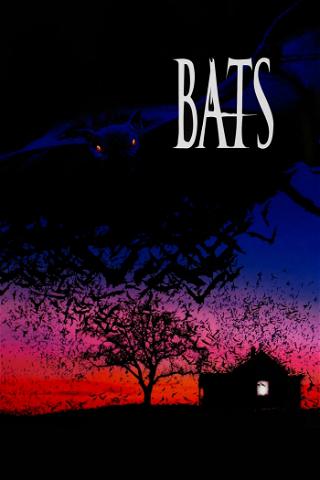 Bats - Fliegende Teufel poster