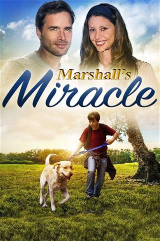 Marshall, Le Miracle de la Vie poster