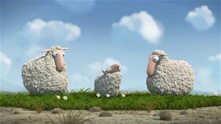 Oh Sheep! poster