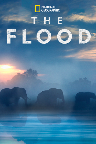 The Flood poster