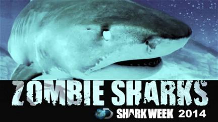 Zombie Sharks poster
